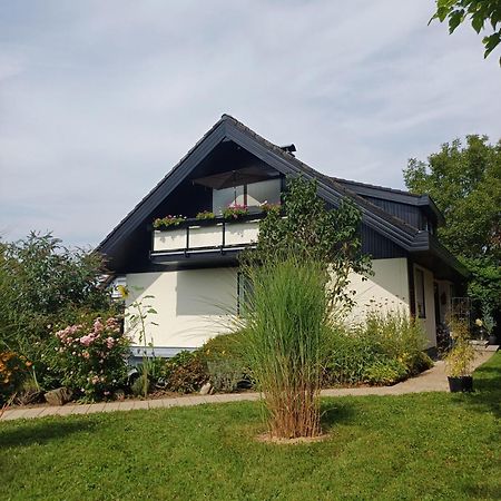Ferienwohnung Sylvia Michelstadt Esterno foto